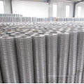 Welded Wire Mesh (Stainless Steel & Galvanized)